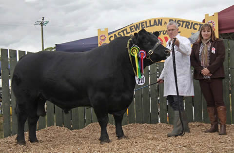 castlewellen show 2012